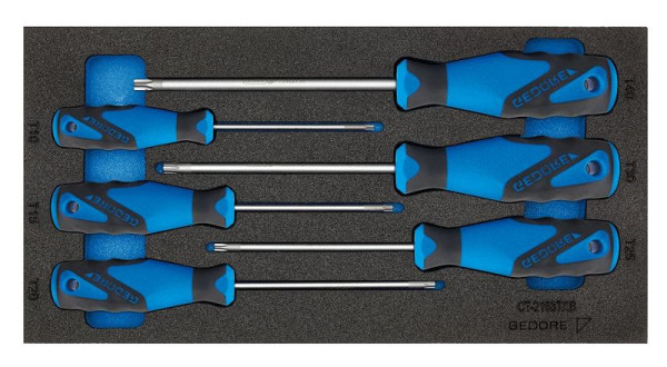 Insert GEDORE CT avec assortiment, jeu de tournevis TX, 2309157