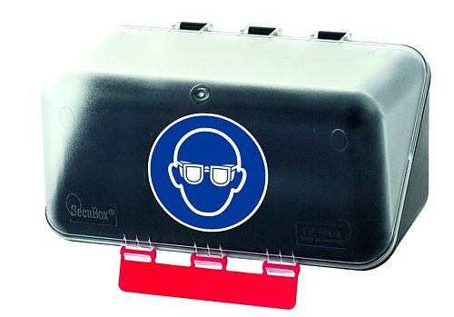 Mini boîte DENIOS pour ranger la protection oculaire, transparente, 116-476