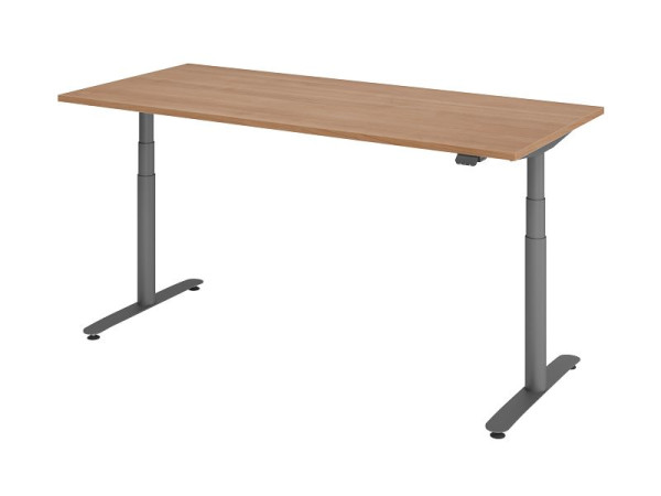 Hammerbacher bureau assis-debout électrique 180x80cm noyer/graphite, VXDLR19/N/G