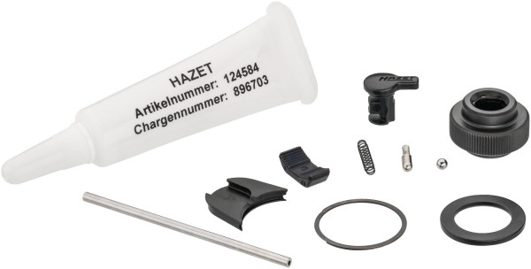 Jeu de pièces de rechange Hazet pour roue à cliquet, 863HPB/11