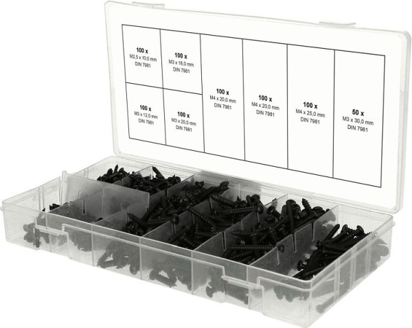 KS Tools assortiment de vis à tôle à tête cylindrique, M2, 5-M3, 750 pièces, 970.0800