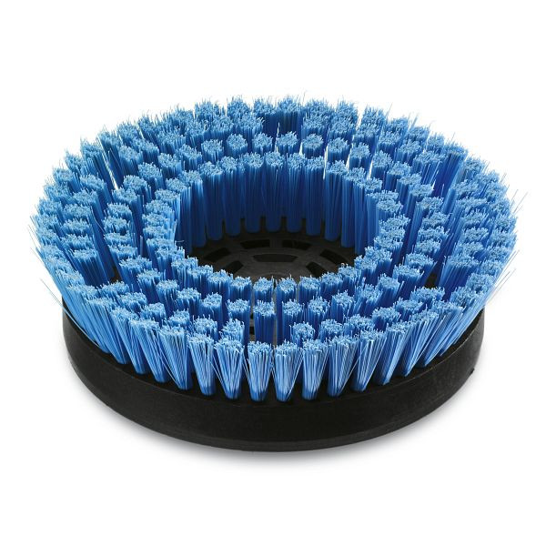 Kärcher , moyennement douce, bleue, 170 mm, pour tapis, 6.994-115.0