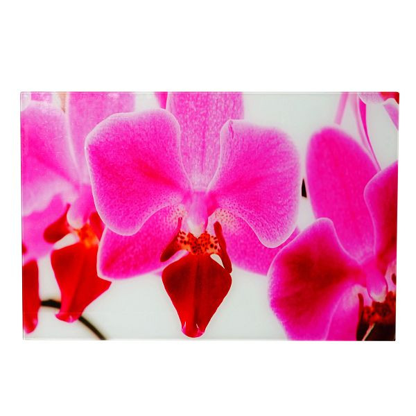 Image en verre Mendler T116, motif d'affiche murale, 40x60cm, orchidée, 34251