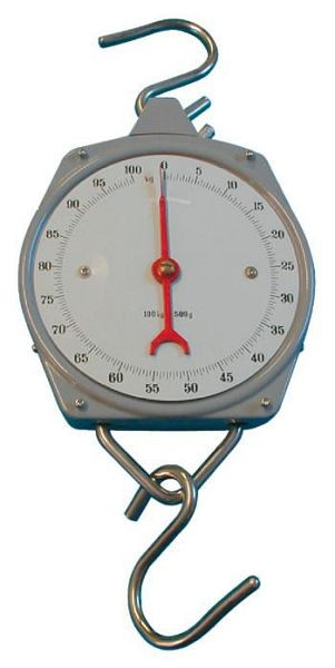 Balance rapide pointeur Berger & Schröter 100 kg, 50063