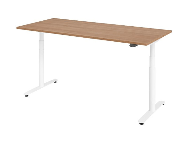 Hammerbacher bureau assis-debout électrique 180x80cm noyer/blanc, VXDLR19/N/W