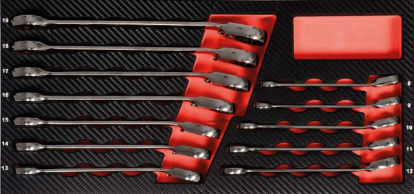 Insert de clé Projahn GearTech "commutable" 12 pièces, 5999-041