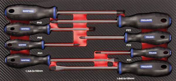 Insert tournevis Projahn "mixte" 8 pièces PH + PZ + fente, 5999-071