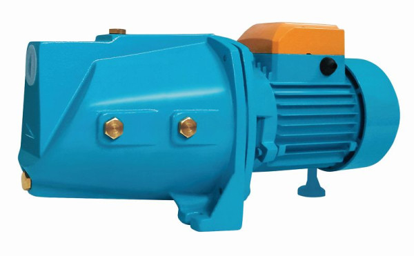 Pompe de jardin Eurom TP1100S Prof, 263732
