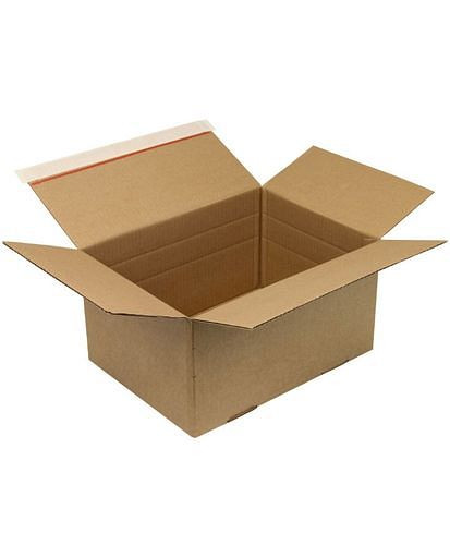 Boîte pliante automatique TransPak, 1 paroi, avec fermeture SK, 310 x 230 x 81-160 mm, qualité 1.30B, lot de 20, 299448