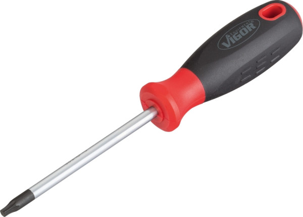 Tournevis TORX VIGOR, profil TORX interne, T25, V3370
