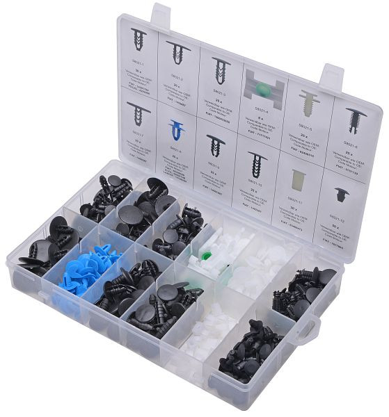 Assortiment de clips de fixation SW-Stahl, Fiat, 308 pièces, S8021