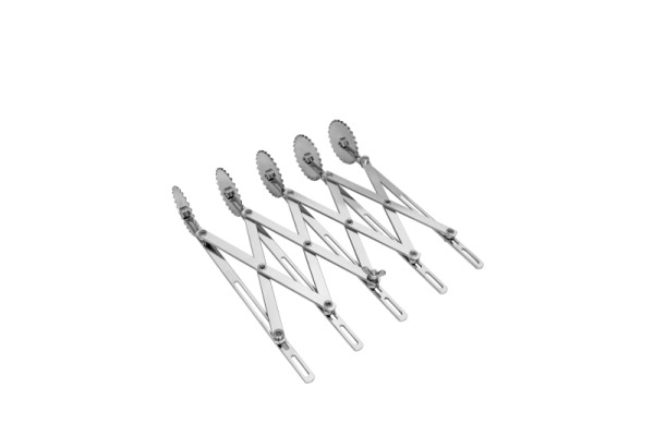 Coupe-pâte Schneider, simple, 5 roulettes, dentelé, 153110