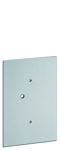 Plaque de montage TCS argent anodisé naturel pour PAK01-04 H247xL170 mm, ZAM1101-0010