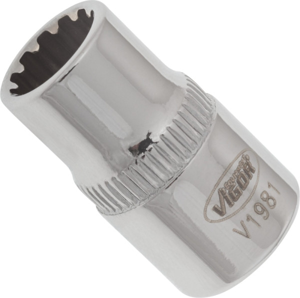 VIGOR Insert de clé à douille multiprofil, carré creux 6,3 mm (1/4 pouce), multiprofil, 8 mm, V1981