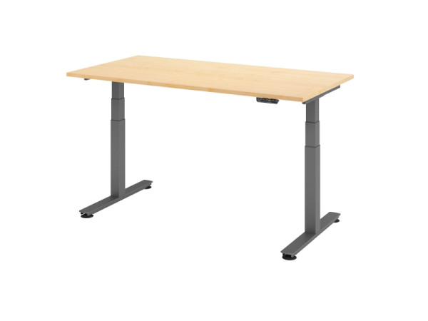 Bureau assis-debout électrique Hammerbacher 160x80cm érable, hauteur de travail 63,5-128,5 cm, VXDSM16/3/G