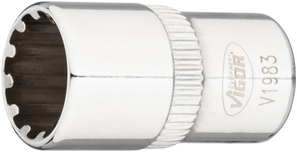 VIGOR Insert de clé à douille multiprofil, carré creux 6,3 mm (1/4 pouce), multiprofil, 10 mm, V1983