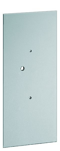Plaque de montage TCS argent anodisé naturel pour PAK01-06 H338xL170 mm, ZAM1103-0010