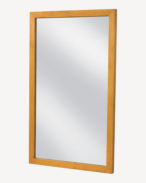 Housse de miroir de manège Growi, pour miroir 620 x 180 cm surface en verre miroir, 10094090