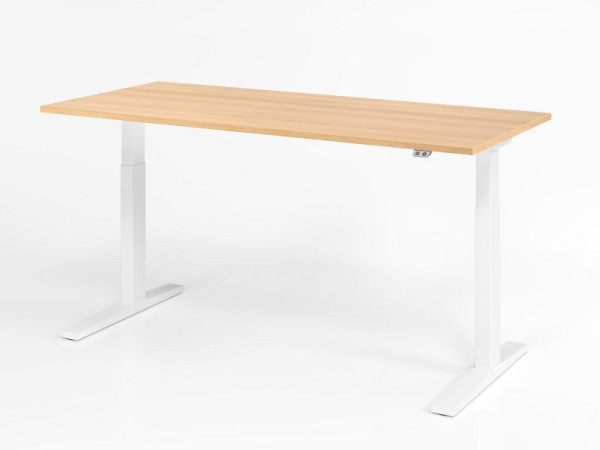 Bureau Hammerbacher XMKA19, 180 x 80 cm, plateau : chêne, épaisseur 25 mm, chant épais en ABS, forme rectangulaire, blanc, VXMKA19/E/W