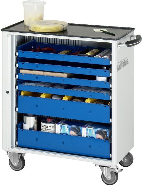Chariot à outils RAU série adlatus modèle 7255, L725 x P400 x H860 mm, avec support métallique, 02-7255.11