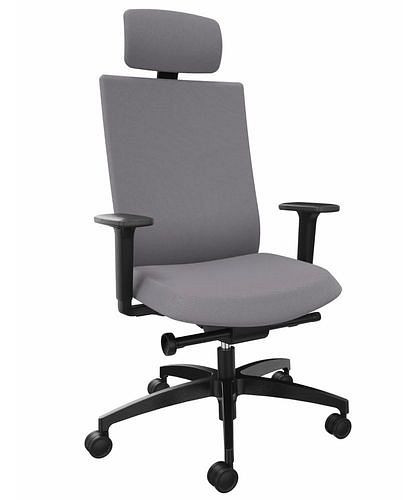 Chaise de bureau DENIOS AdJust evo, technologie Syncro-Evolution, support de nuque, gris, 292411