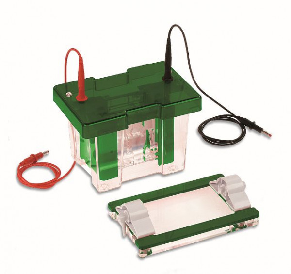 Consort EVS1100-SYS MINI système vertical 10X10 cm, EVS1100-SYS