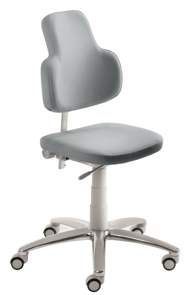 Chaise pivotante Mayer Sitzmöbel , assise et dossier rembourrés, mécanisme standard et soufflet gris clair, gris cristal, 2206G_30584