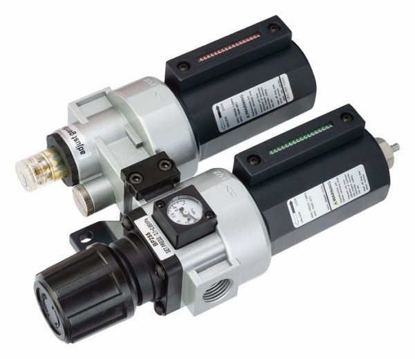 Filtre à air Bahco avec bague de graissage 1/2", 200 CC, jusqu'à 3,8 L/min, 1-8,5 bar, BP255