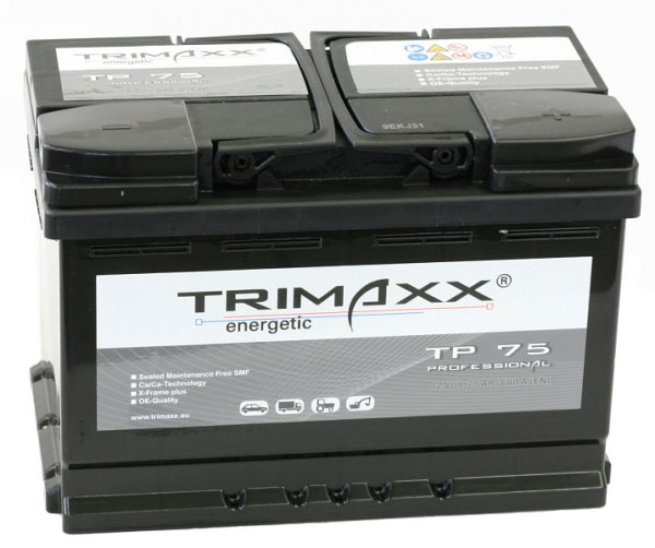 IBH TRIMAXX énergétique &quot;Professionnel&quot; TP75 par batterie de démarrage, 108 009500 20
