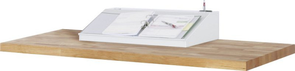Support d'écriture RAU avec couvercle rabattable, 650x50/160x520 mm, 07-SA-650.12