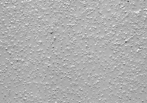 Revêtement antidérapant en résine époxy DENIOS, grain extra fort grain fin gris clair, 5kg, 272157