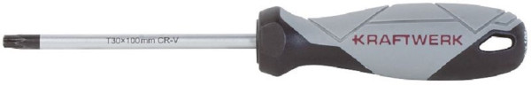 Tournevis Kraftwerk BASIC LINE TX T30 x 100 mm, 305.103.030