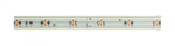 rutec Projekt rutec VARDAflex Outdoor Plus - 10 - mètres - rouleau de Flex. Ruban LED, 24V, 12W/m, IP67, 3000K, PHF735