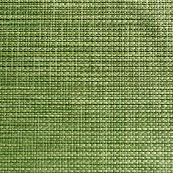 Set de table APS - vert pomme, 45 x 33 cm, PVC, bande étroite, lot de 6, 60521