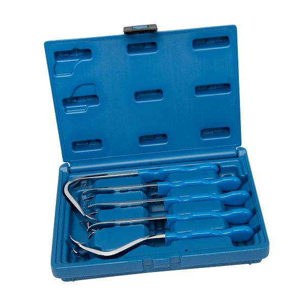 Stahlmaxx jeu de panneaux de porte/clips de levage, 5 pièces, trempés et chromés, XXL-120614
