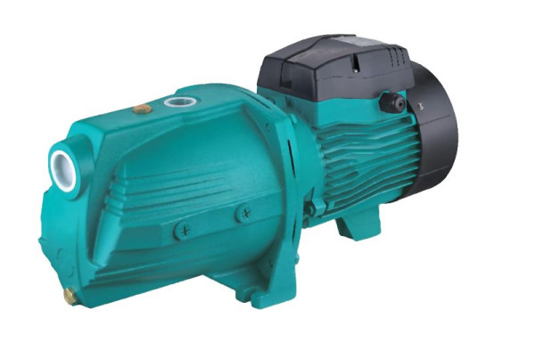 Pompe à jet en fonte LEO AJm110L-1.5 HP -230V A1.15.402