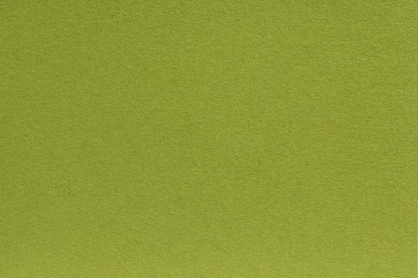 Hammerbacher 4 coussins en feutre pour banquette de bistro, vert, tissu : 100 % pure laine vierge, VMBPO/H