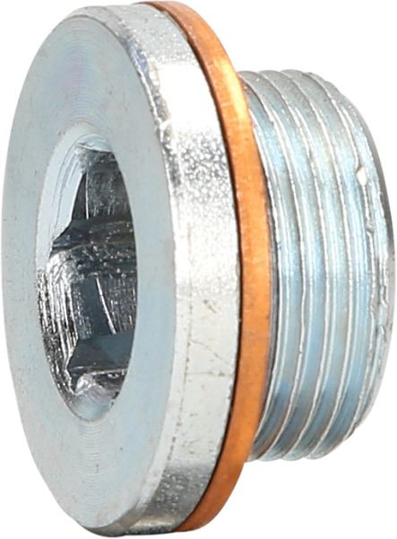 Bouchon de vidange d'huile KS Tools M24 x 1,5 x 16 mm pour Renault, 430.0601
