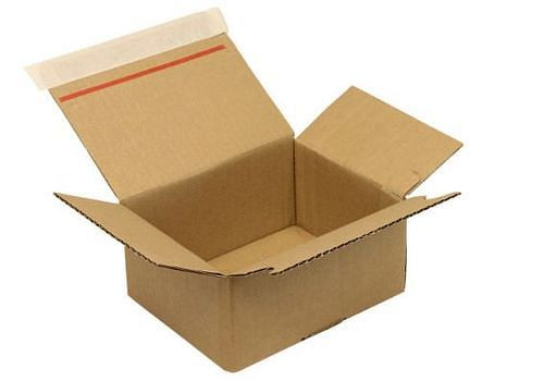 Boîte pliante automatique TransPak, 1 paroi, avec fermeture SK, 160 x 130 x 70 mm, format C6, qualité 1.31B, pack : 40 pièces, 299443