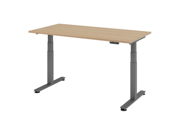 Bureau assis-debout électrique Hammerbacher 160x80cm chêne, hauteur de travail 63,5-128,5 cm, VXDSM16/E/G