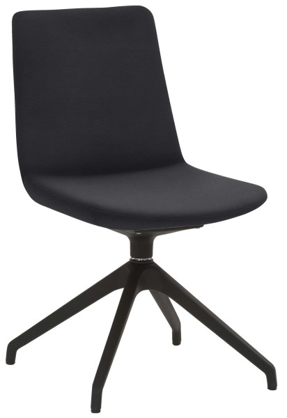 Chaise Mayer Sitzmöbel , piètement étoile, plastique noir, rotatif à 360°, hauteur d'assise 49 cm, anthracite, 2008_S3_30487