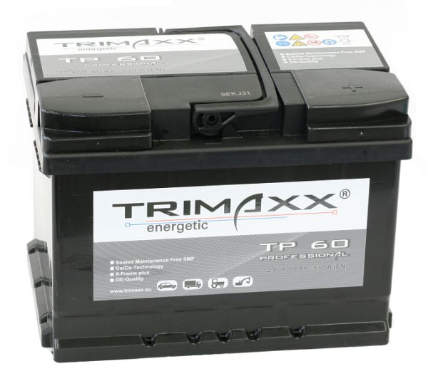 IBH TRIMAXX énergétique &quot;Professionnel&quot; TP60 par batterie de démarrage, 108 009200 20
