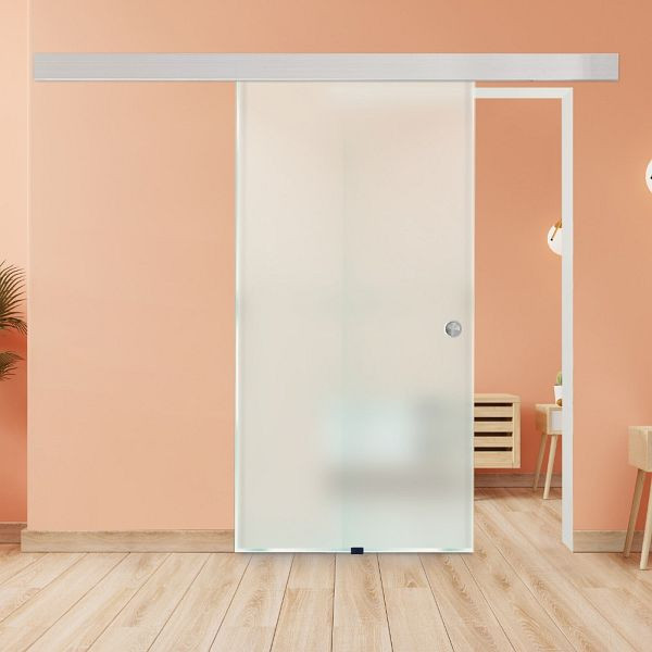 Porte coulissante en verre HOME DELUXE SAPHIR – 205 x 90 cm verre dépoli, 49704