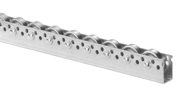 Rail à rouleaux BS avec rouleaux en acier diamètre 48 mm, pas 50 mm, 423 000