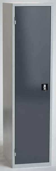 Armoire universelle KLW, 2000 x 500 x 630 mm H x L x P, avec une porte battante à gauche, SFN-AW2000TL-5024XRB