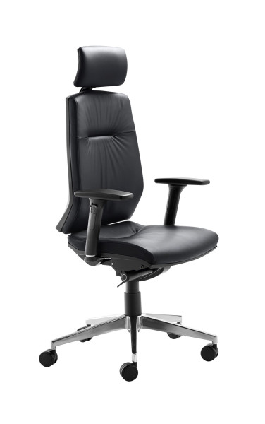 Chaise pivotante Mayer Sitzmöbel , dossier réglable en hauteur sur 7 positions, appui-tête réglable, roulettes pour moquette, anthracite, 2480_81014