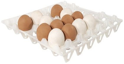 Plateau Contacto pour 30 œufs, blanc, 8034/030