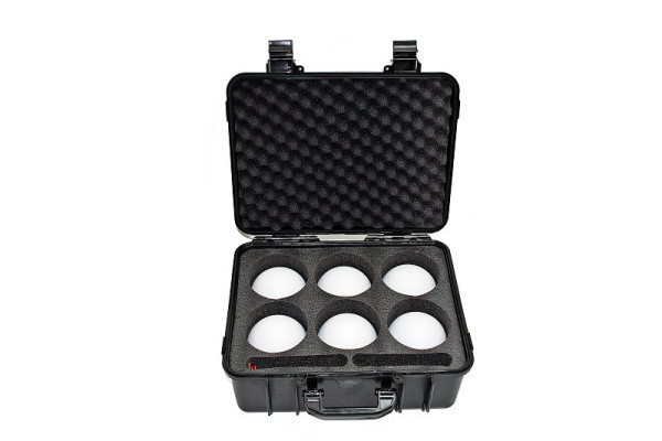 NESTLE accessoire scan, boîtier scan ball, pour 6 scan balls, 14204000