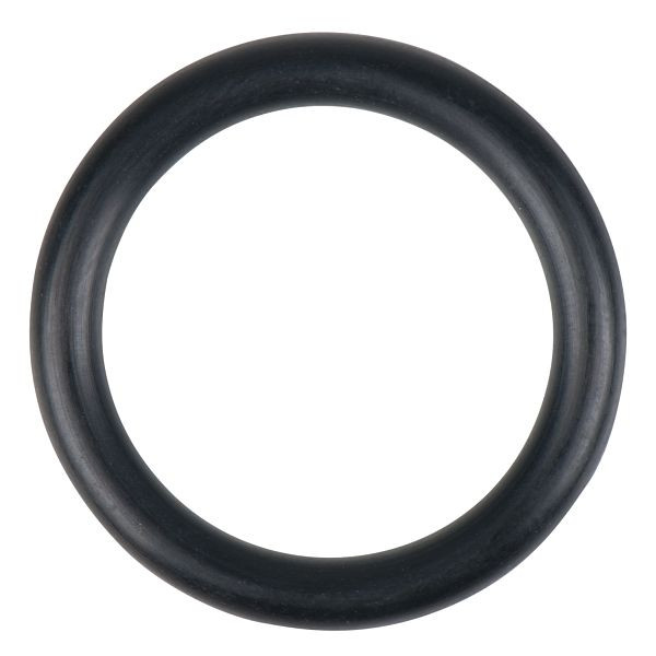 KS Tools Joint torique pour valve de pompe, 150.9258-R004P