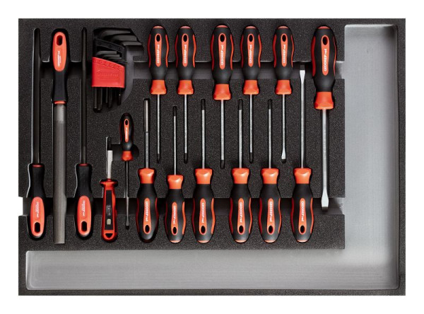 GEDORE jeu d'outils rouge tournevis et limes en module mousse 3/3, 26 pièces, 3301683